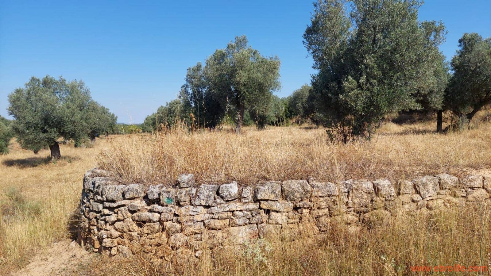 1 sovrum Finca/Hus på landet till salu i Belmonte de San Jose - 140 000 € (Ref: 9142407)