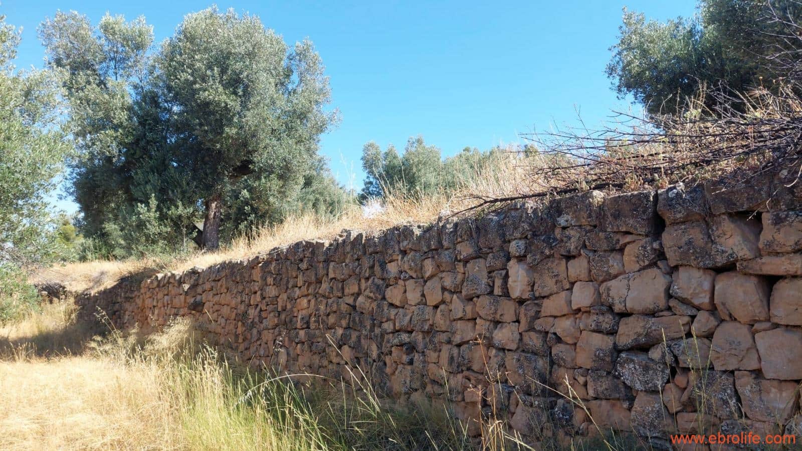 1 sovrum Finca/Hus på landet till salu i Belmonte de San Jose - 140 000 € (Ref: 9142407)