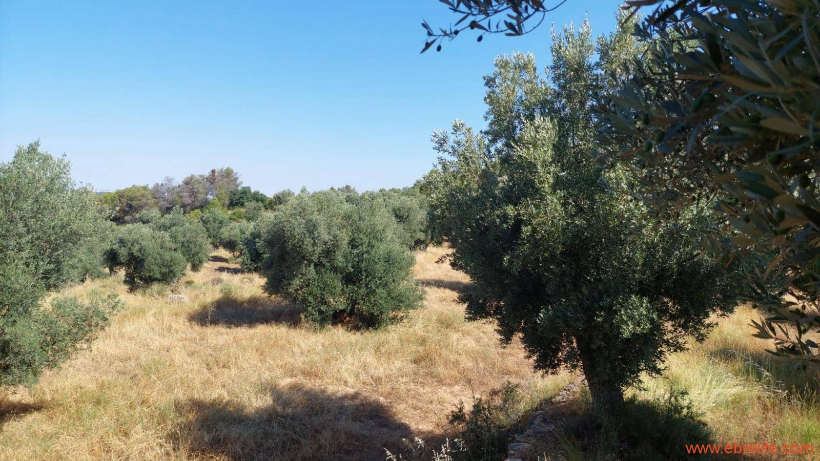 1 sovrum Finca/Hus på landet till salu i Belmonte de San Jose - 140 000 € (Ref: 9142407)