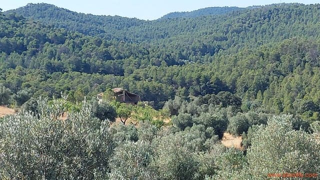 1 sypialnia Finka/Dom wiejski na sprzedaż w Belmonte de San José - 140 000 € (Ref: 9142407)