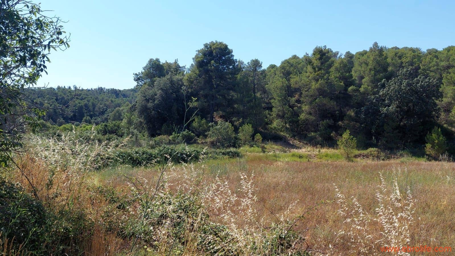 1 sovrum Finca/Hus på landet till salu i Belmonte de San Jose - 140 000 € (Ref: 9142407)