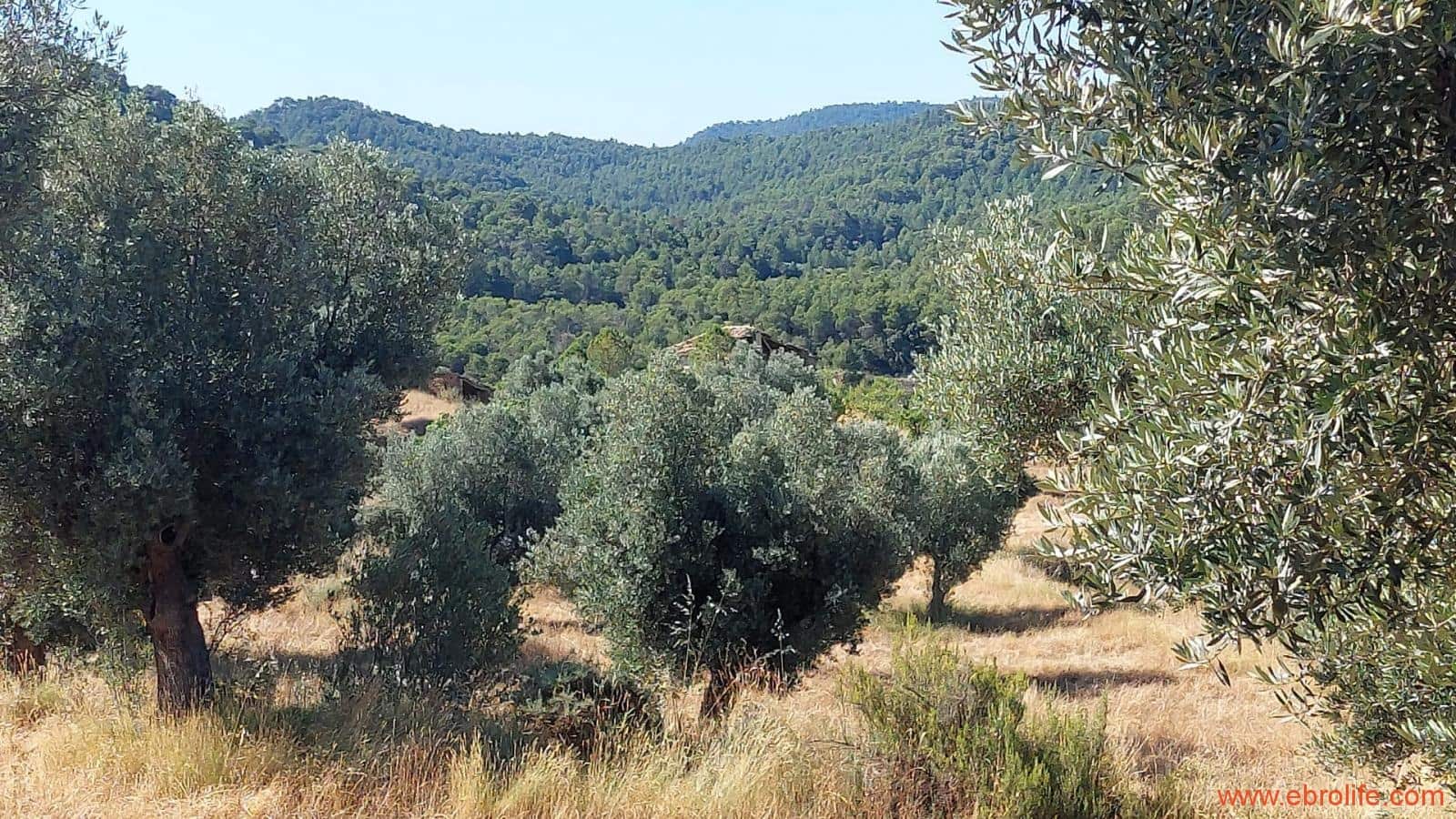 1 sovrum Finca/Hus på landet till salu i Belmonte de San Jose - 140 000 € (Ref: 9142407)