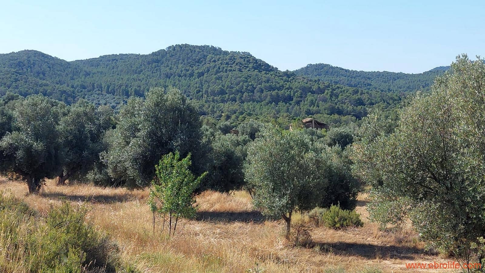 1 sovrum Finca/Hus på landet till salu i Belmonte de San Jose - 140 000 € (Ref: 9142407)