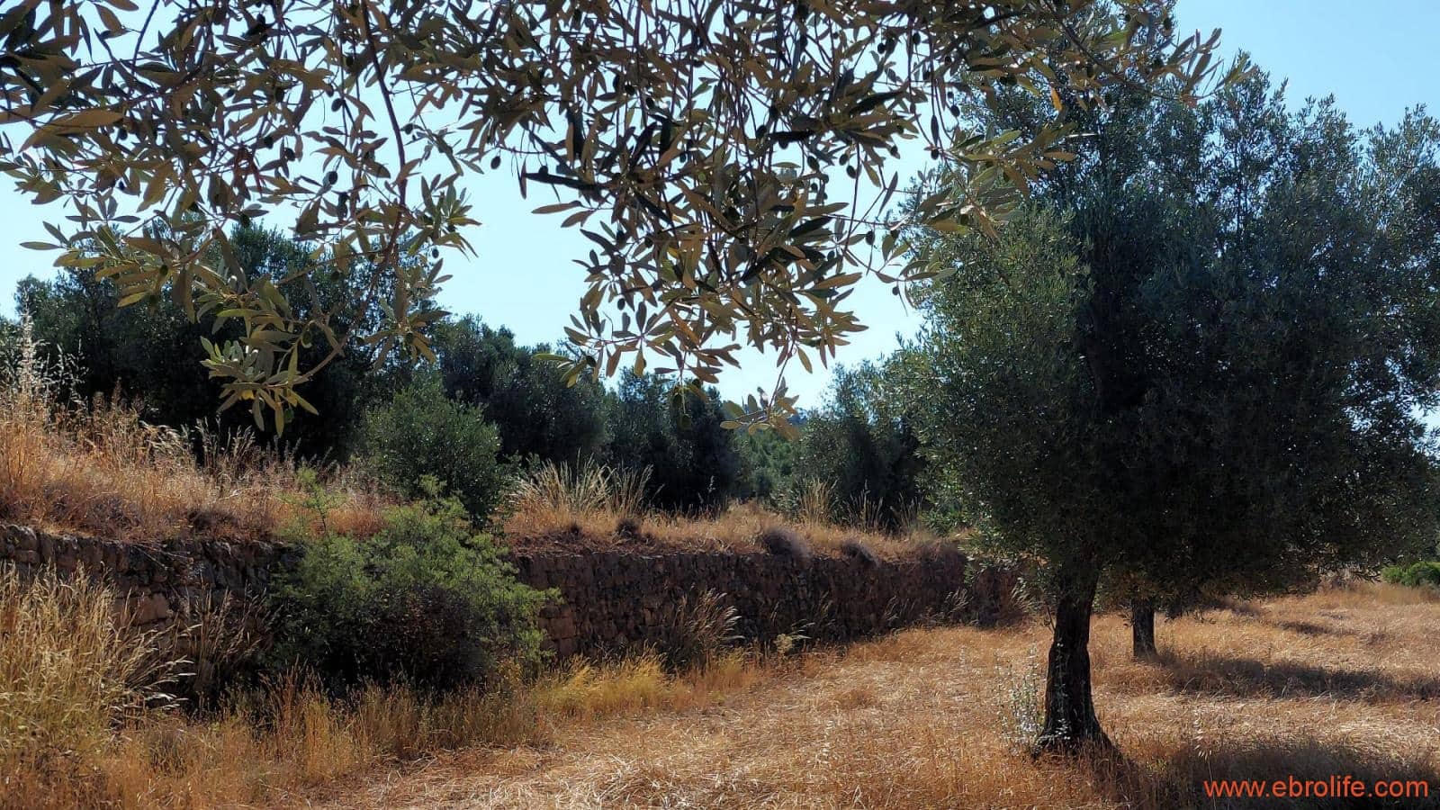 1 sovrum Finca/Hus på landet till salu i Belmonte de San Jose - 140 000 € (Ref: 9142407)