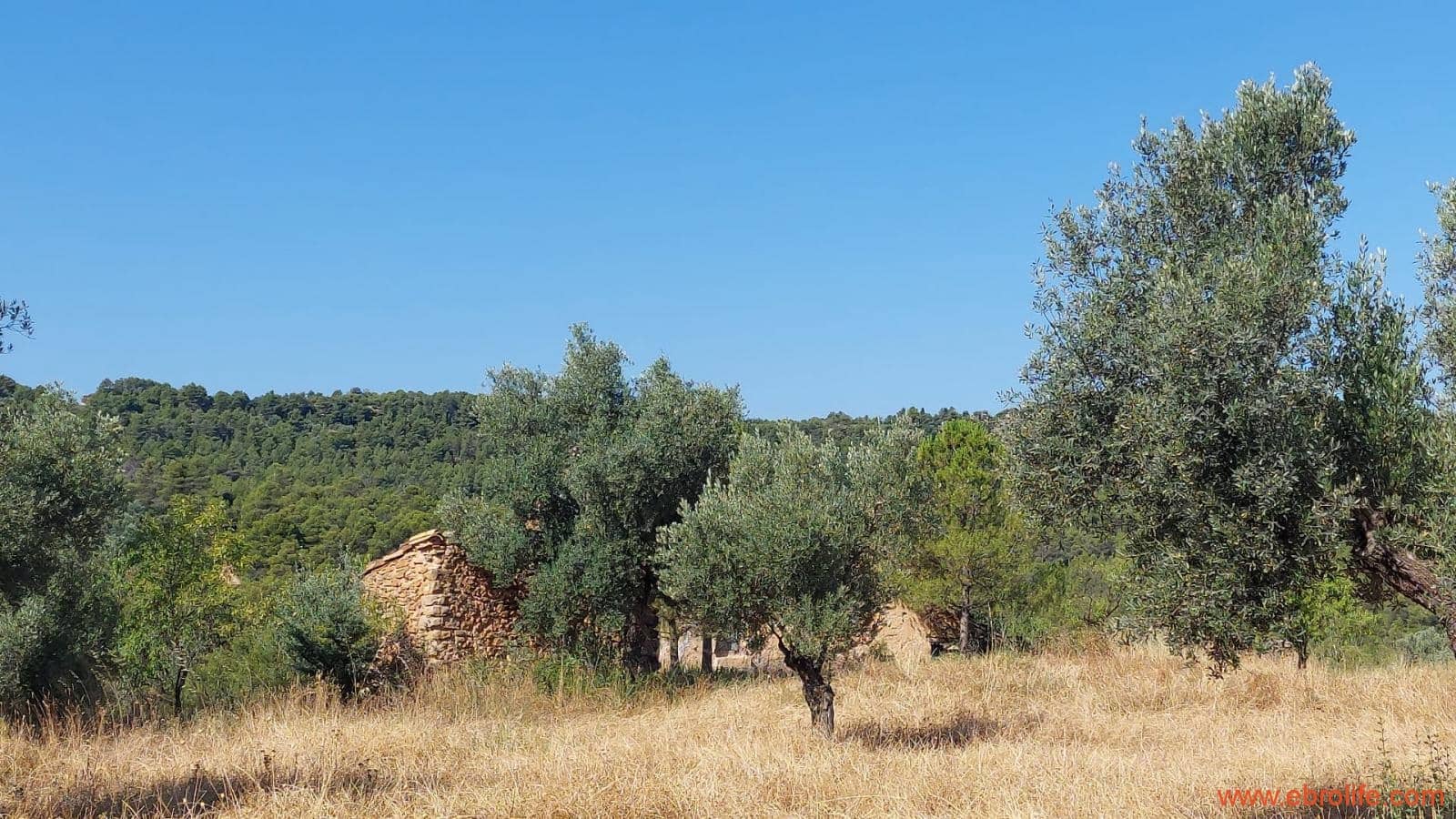 1 sovrum Finca/Hus på landet till salu i Belmonte de San Jose - 140 000 € (Ref: 9142407)