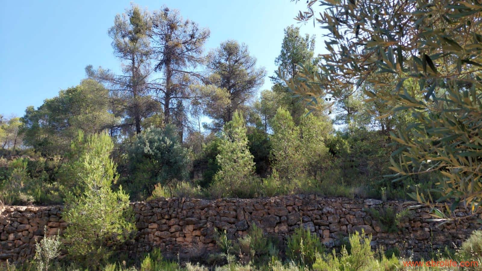 1 sovrum Finca/Hus på landet till salu i Belmonte de San Jose - 140 000 € (Ref: 9142407)