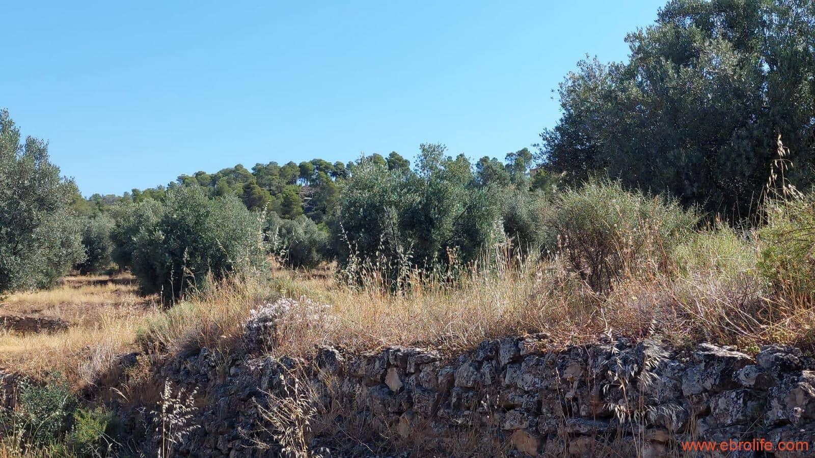 1 sovrum Finca/Hus på landet till salu i Belmonte de San Jose - 140 000 € (Ref: 9142407)