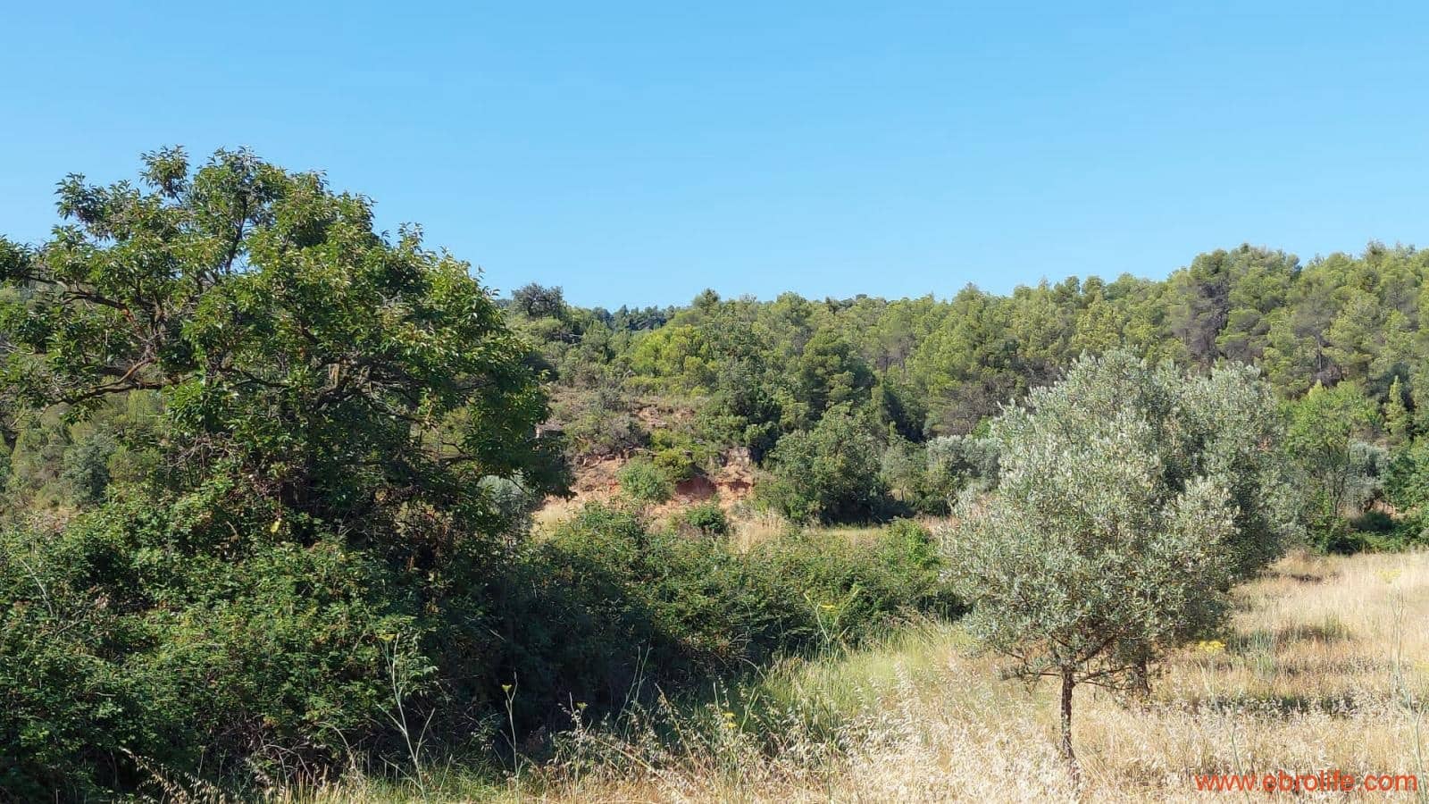 1 sovrum Finca/Hus på landet till salu i Belmonte de San Jose - 140 000 € (Ref: 9142407)