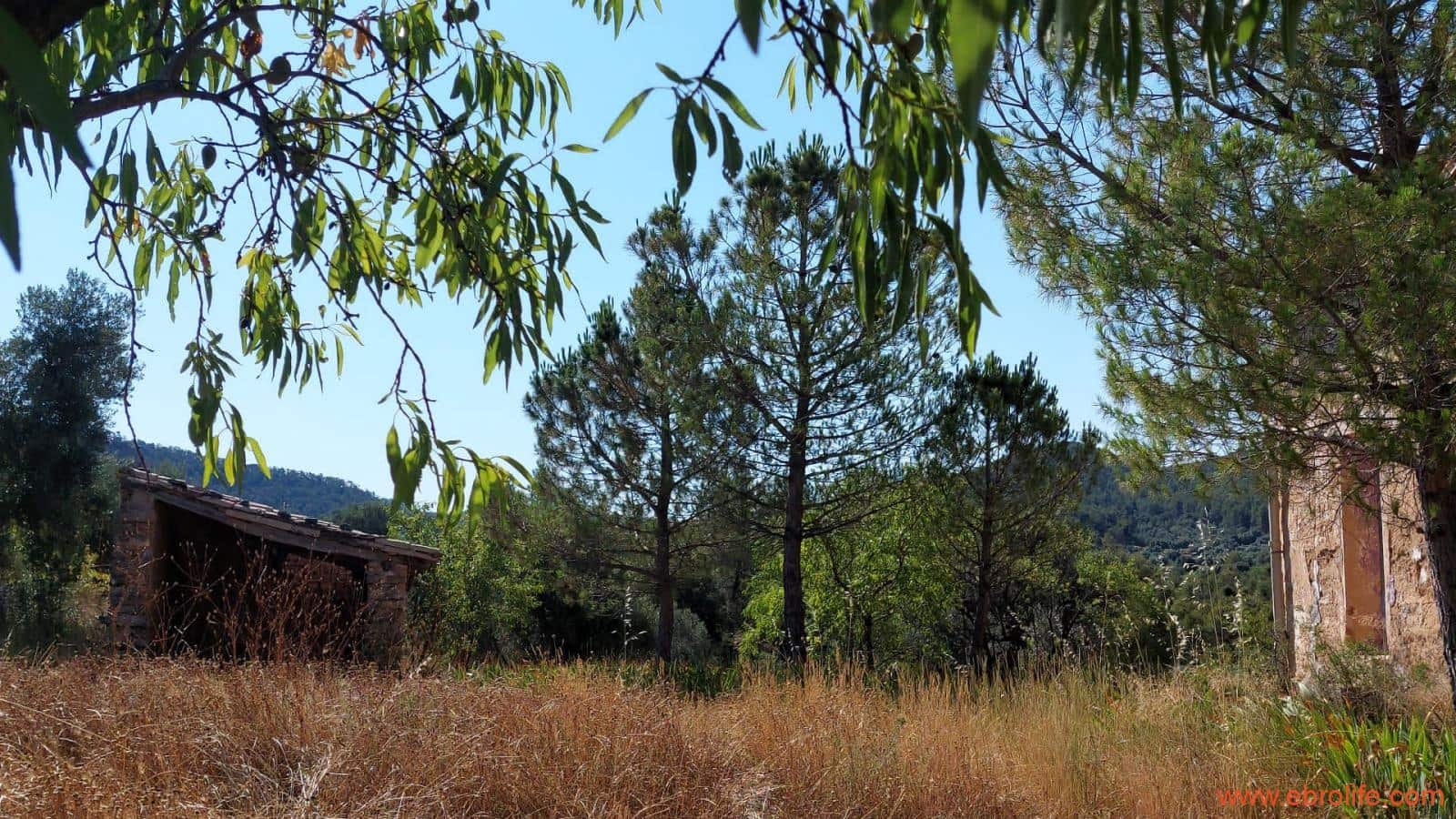 1 sovrum Finca/Hus på landet till salu i Belmonte de San Jose - 140 000 € (Ref: 9142407)