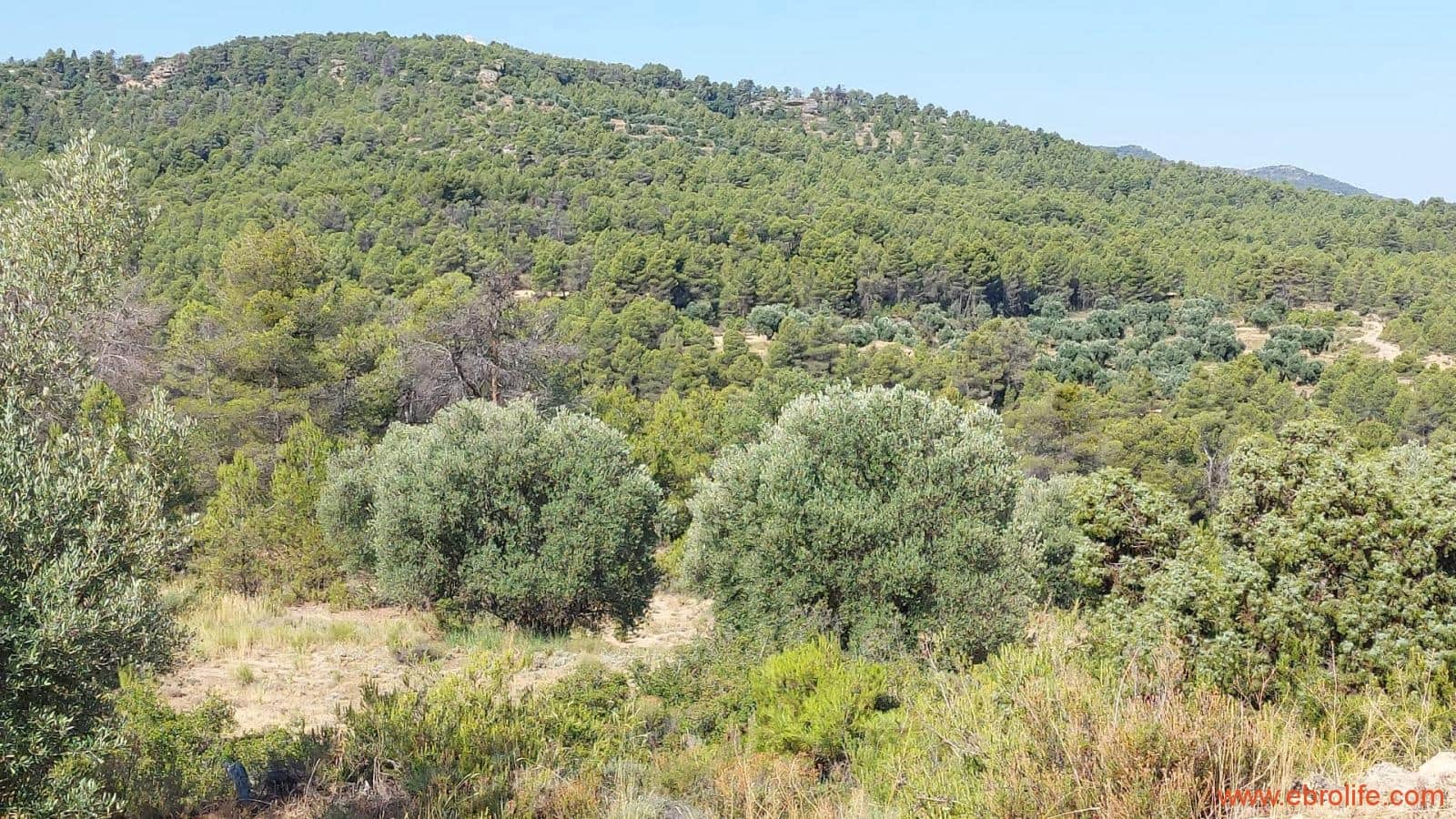 1 sovrum Finca/Hus på landet till salu i Belmonte de San Jose - 140 000 € (Ref: 9142407)