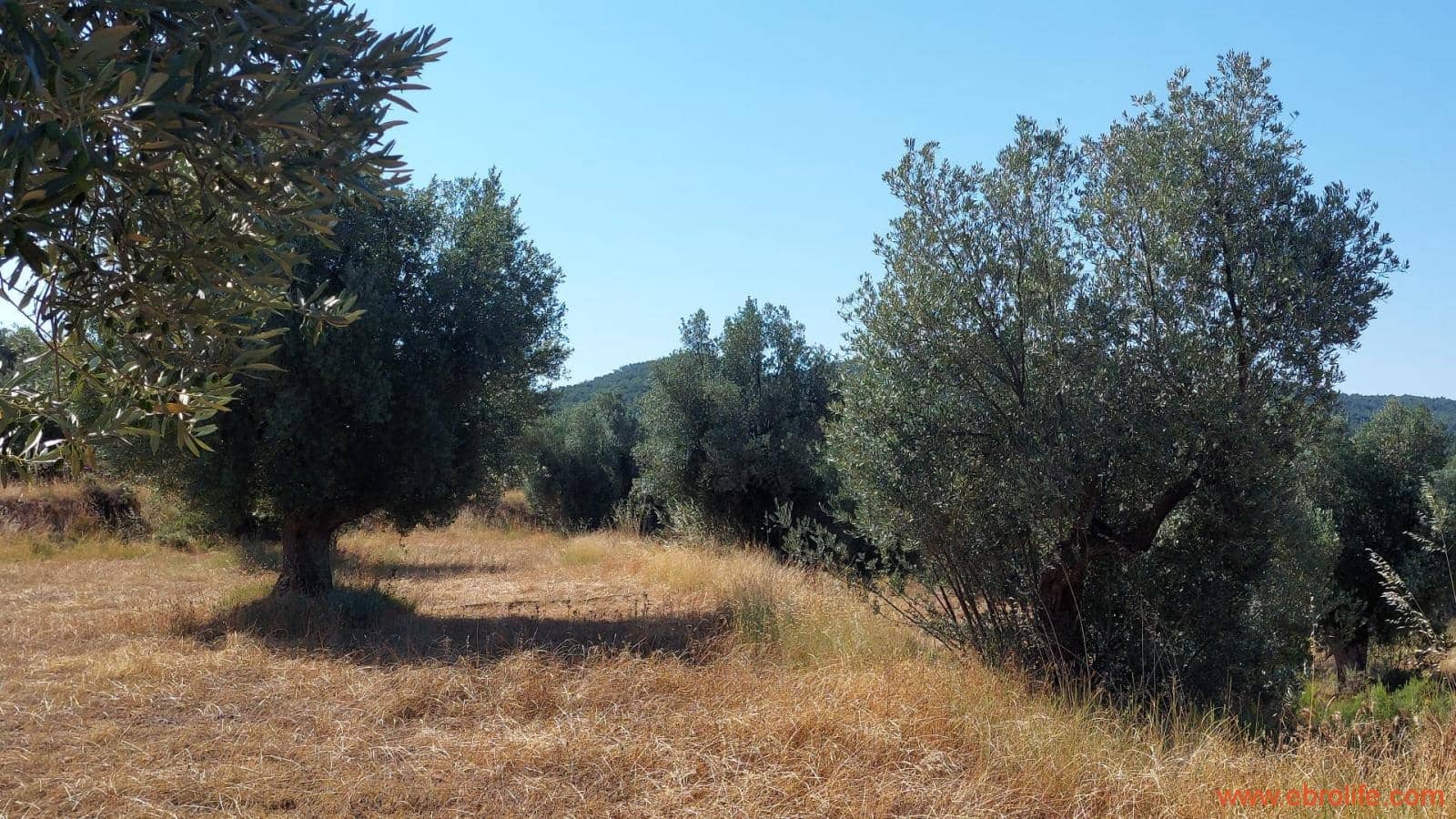 1 sovrum Finca/Hus på landet till salu i Belmonte de San Jose - 140 000 € (Ref: 9142407)