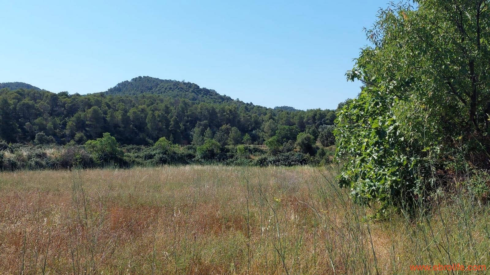 1 sovrum Finca/Hus på landet till salu i Belmonte de San Jose - 140 000 € (Ref: 9142407)