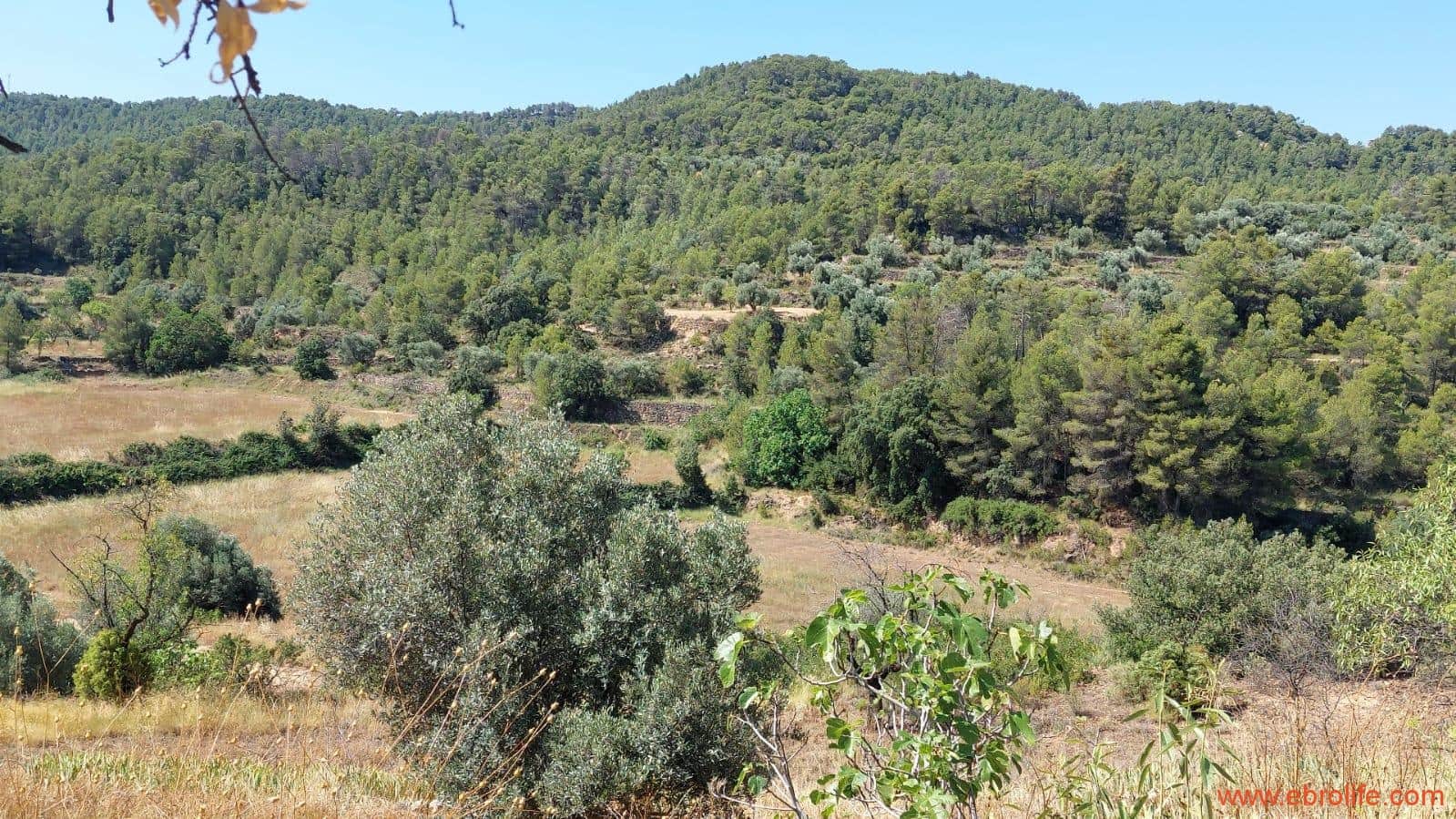 1 sovrum Finca/Hus på landet till salu i Belmonte de San Jose - 140 000 € (Ref: 9142407)