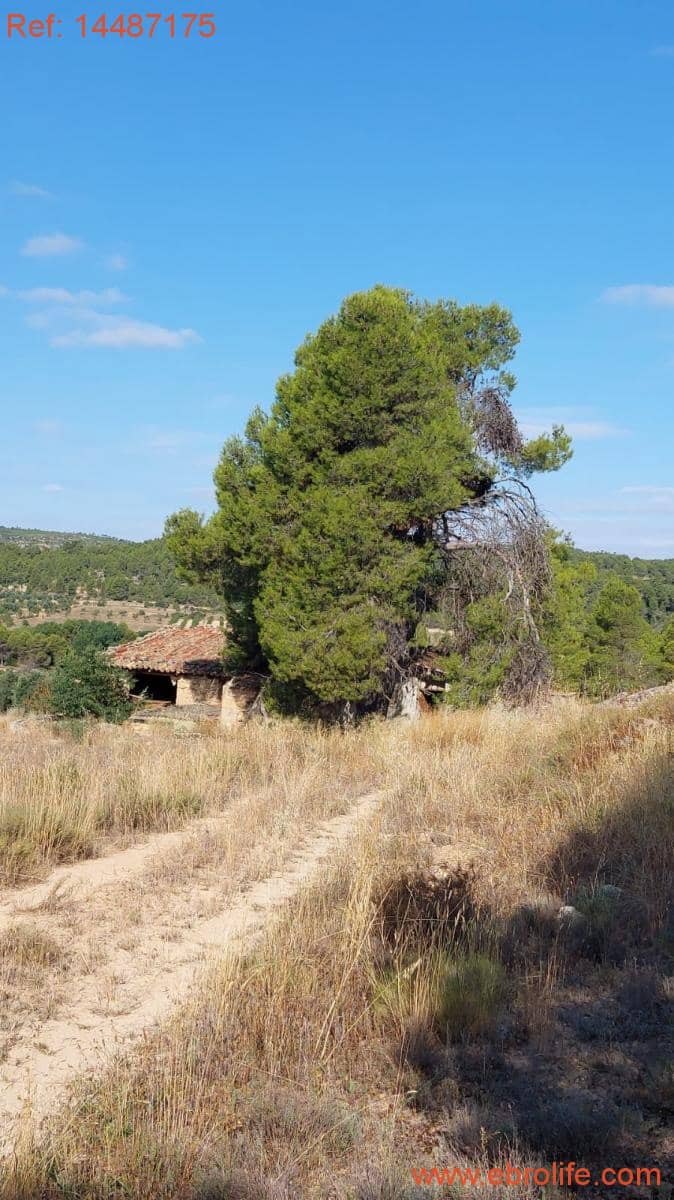 1 sypialnia Finka/Dom wiejski na sprzedaż w Torre del Compte - 75 000 € (Ref: 9142478)