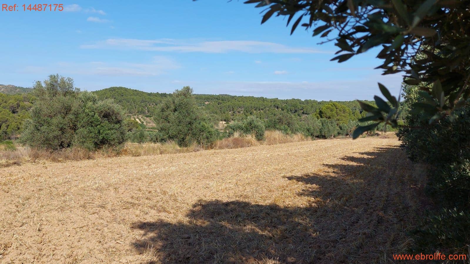 1 sypialnia Finka/Dom wiejski na sprzedaż w Torre del Compte - 75 000 € (Ref: 9142478)