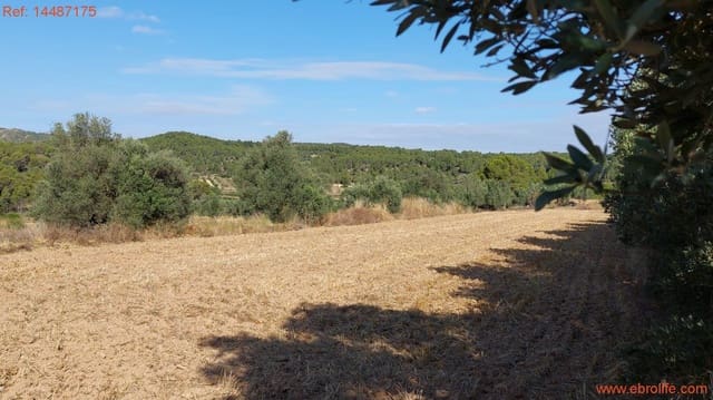 1 sypialnia Finka/Dom wiejski na sprzedaż w Torre del Compte - 75 000 € (Ref: 9142478)