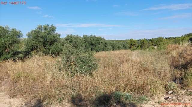 1 sypialnia Finka/Dom wiejski na sprzedaż w Torre del Compte - 75 000 € (Ref: 9142478)