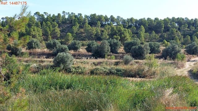 1 sypialnia Finka/Dom wiejski na sprzedaż w Torre del Compte - 75 000 € (Ref: 9142478)