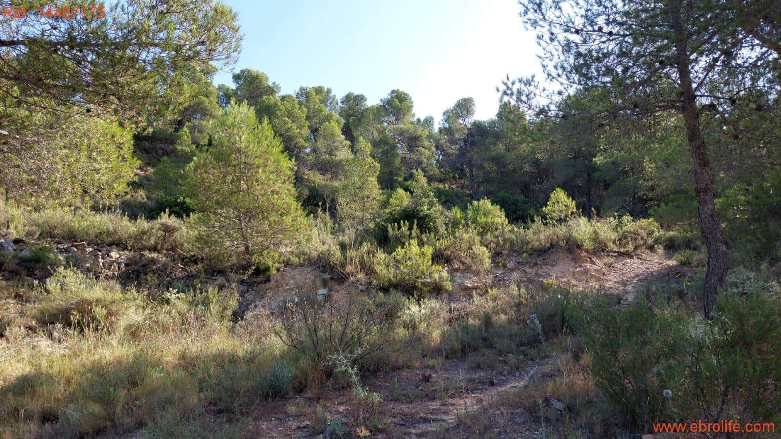 1 sypialnia Finka/Dom wiejski na sprzedaż w Torre del Compte - 75 000 € (Ref: 9142478)