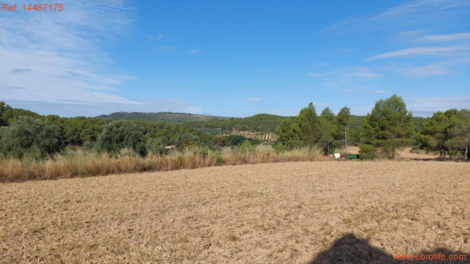 1 sypialnia Finka/Dom wiejski na sprzedaż w Torre del Compte - 75 000 € (Ref: 9142478)