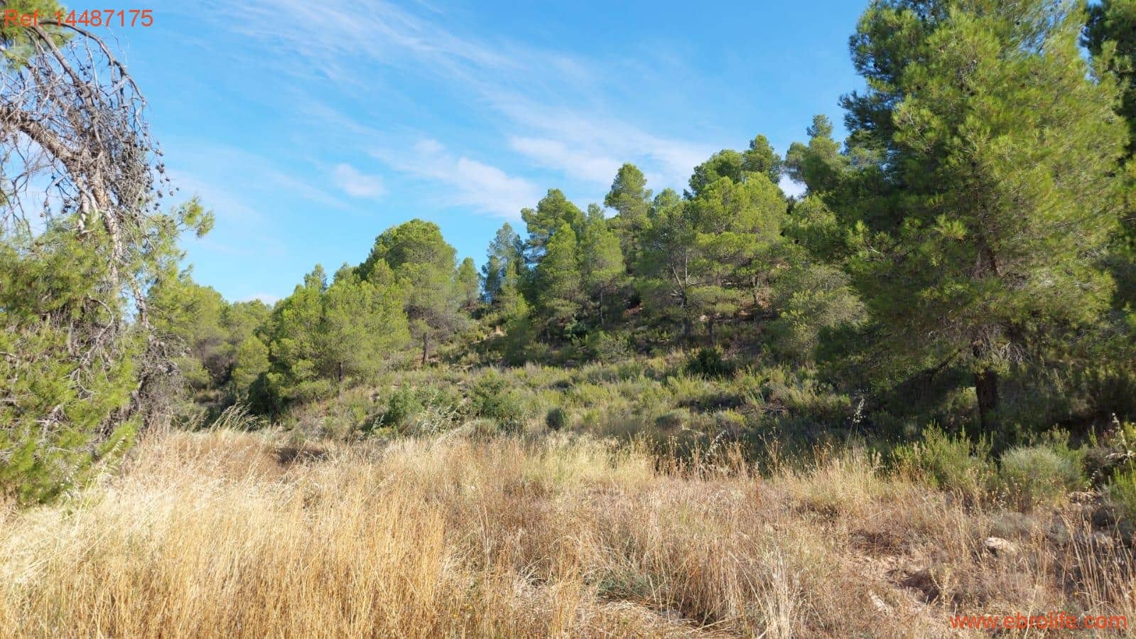 1 sypialnia Finka/Dom wiejski na sprzedaż w Torre del Compte - 75 000 € (Ref: 9142478)