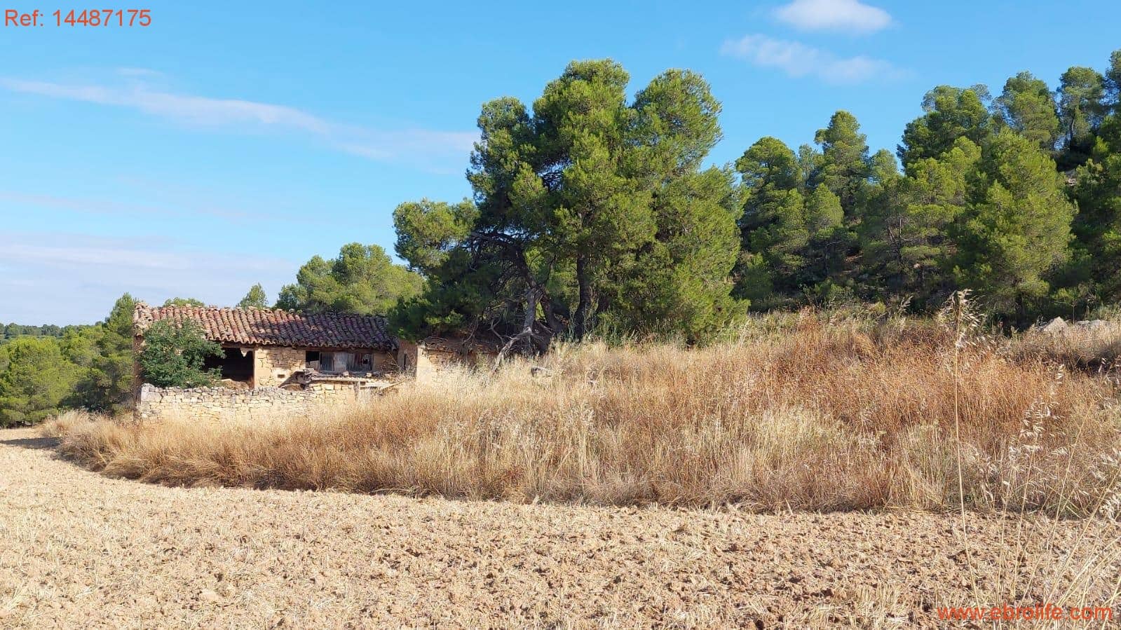 1 sypialnia Finka/Dom wiejski na sprzedaż w Torre del Compte - 75 000 € (Ref: 9142478)