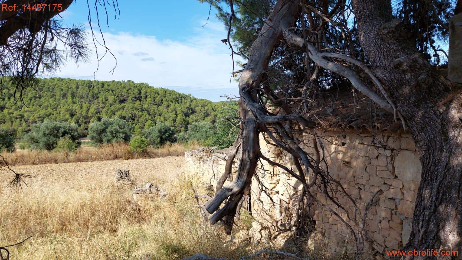 1 sypialnia Finka/Dom wiejski na sprzedaż w Torre del Compte - 75 000 € (Ref: 9142478)