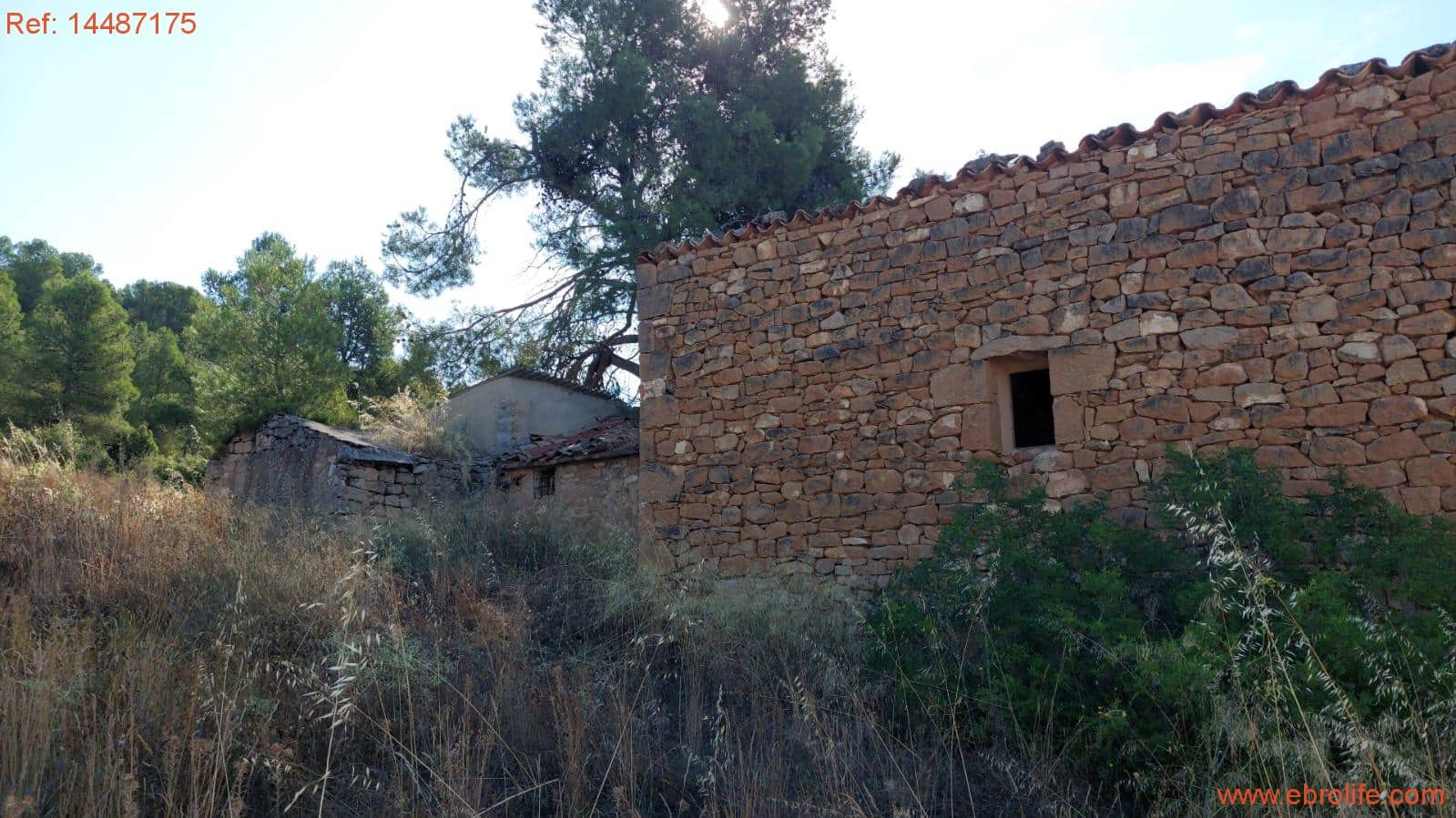 1 sypialnia Finka/Dom wiejski na sprzedaż w Torre del Compte - 75 000 € (Ref: 9142478)