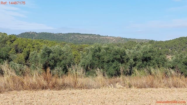 1 soverom Finca/Herregård til salgs i Torre del Compte - € 75 000 (Ref: 9142478)