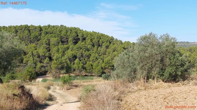 1 sypialnia Finka/Dom wiejski na sprzedaż w Torre del Compte - 75 000 € (Ref: 9142478)