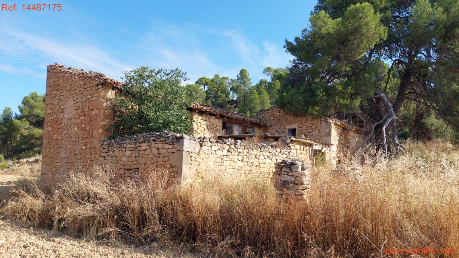 1 sypialnia Finka/Dom wiejski na sprzedaż w Torre del Compte - 75 000 € (Ref: 9142478)