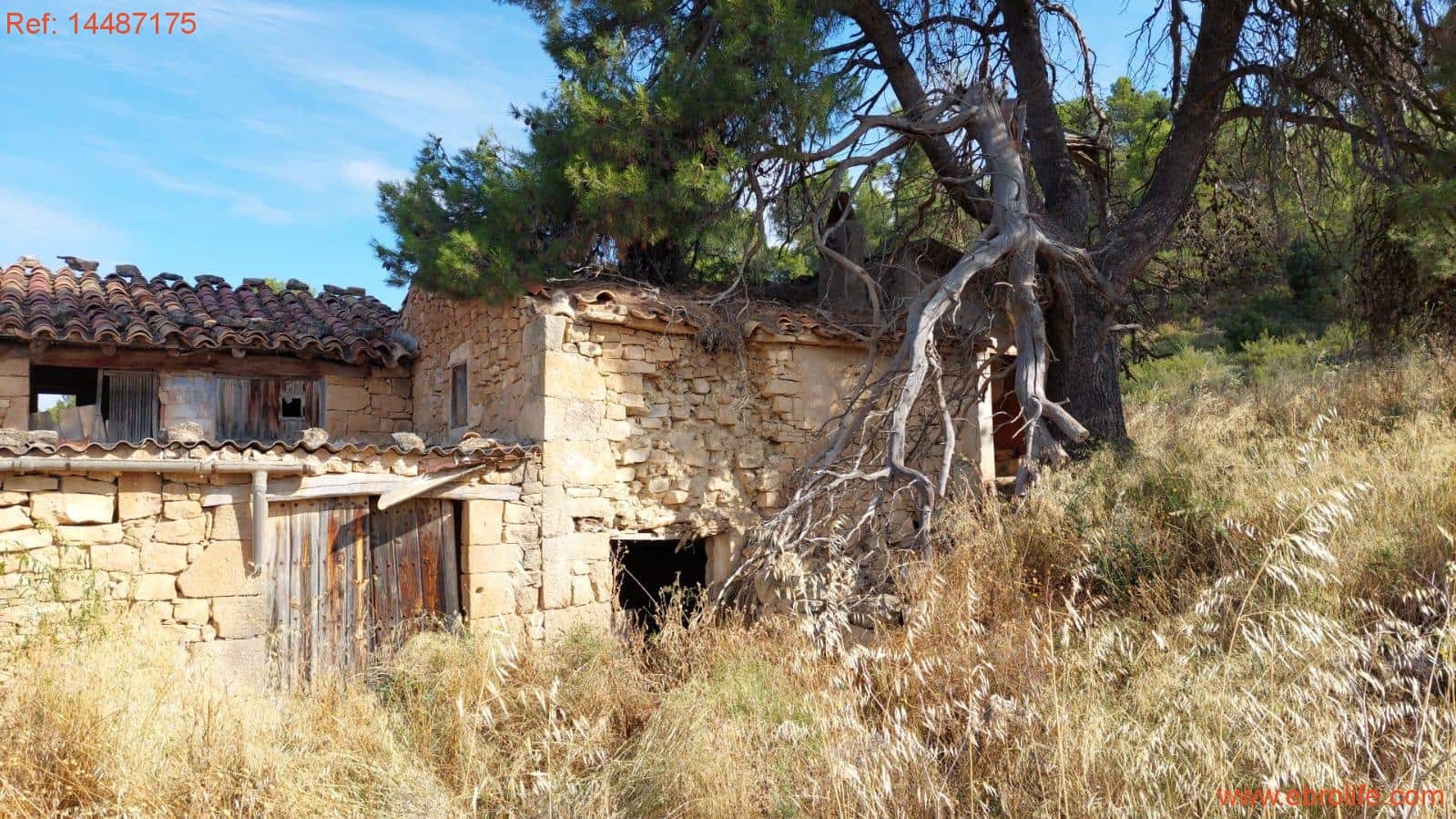 1 sypialnia Finka/Dom wiejski na sprzedaż w Torre del Compte - 75 000 € (Ref: 9142478)