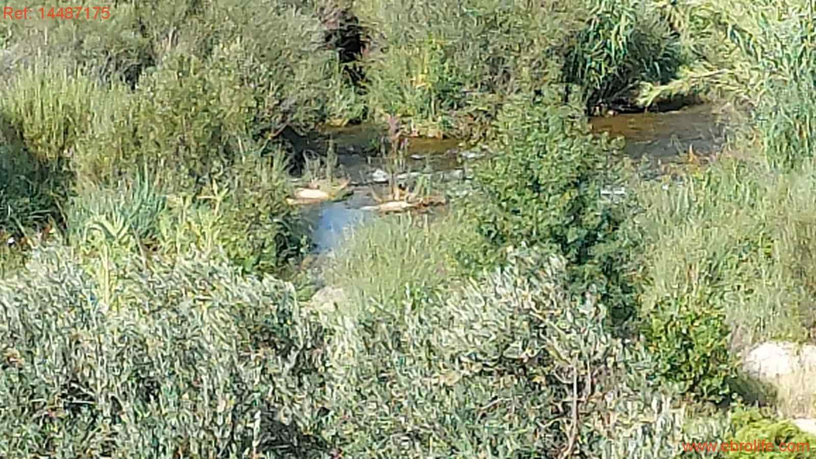 1 sypialnia Finka/Dom wiejski na sprzedaż w Torre del Compte - 75 000 € (Ref: 9142478)