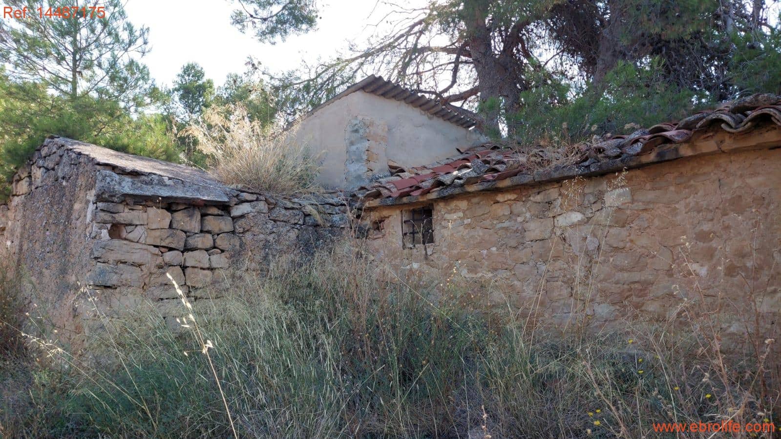 1 sypialnia Finka/Dom wiejski na sprzedaż w Torre del Compte - 75 000 € (Ref: 9142478)