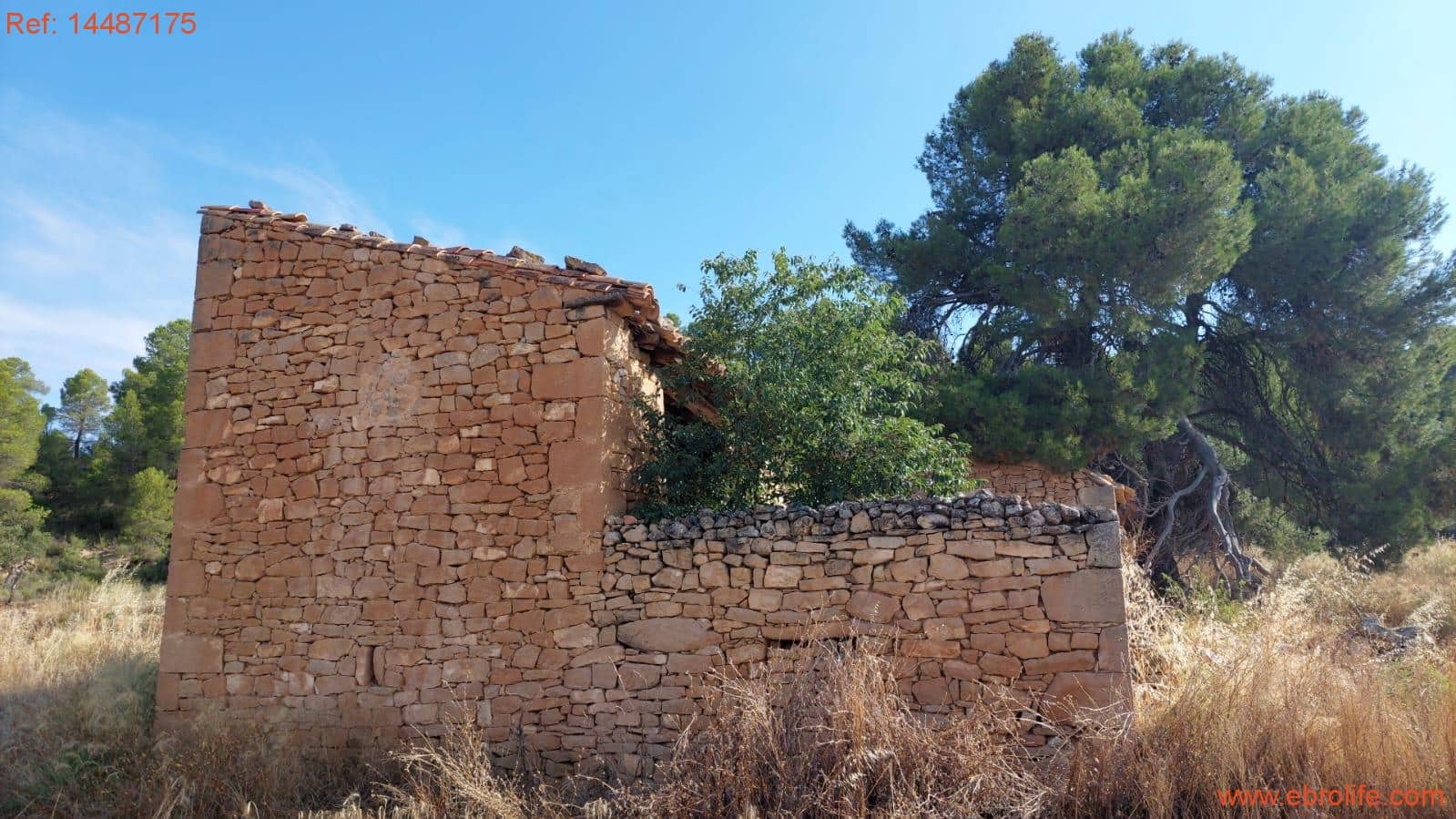 1 sypialnia Finka/Dom wiejski na sprzedaż w Torre del Compte - 75 000 € (Ref: 9142478)