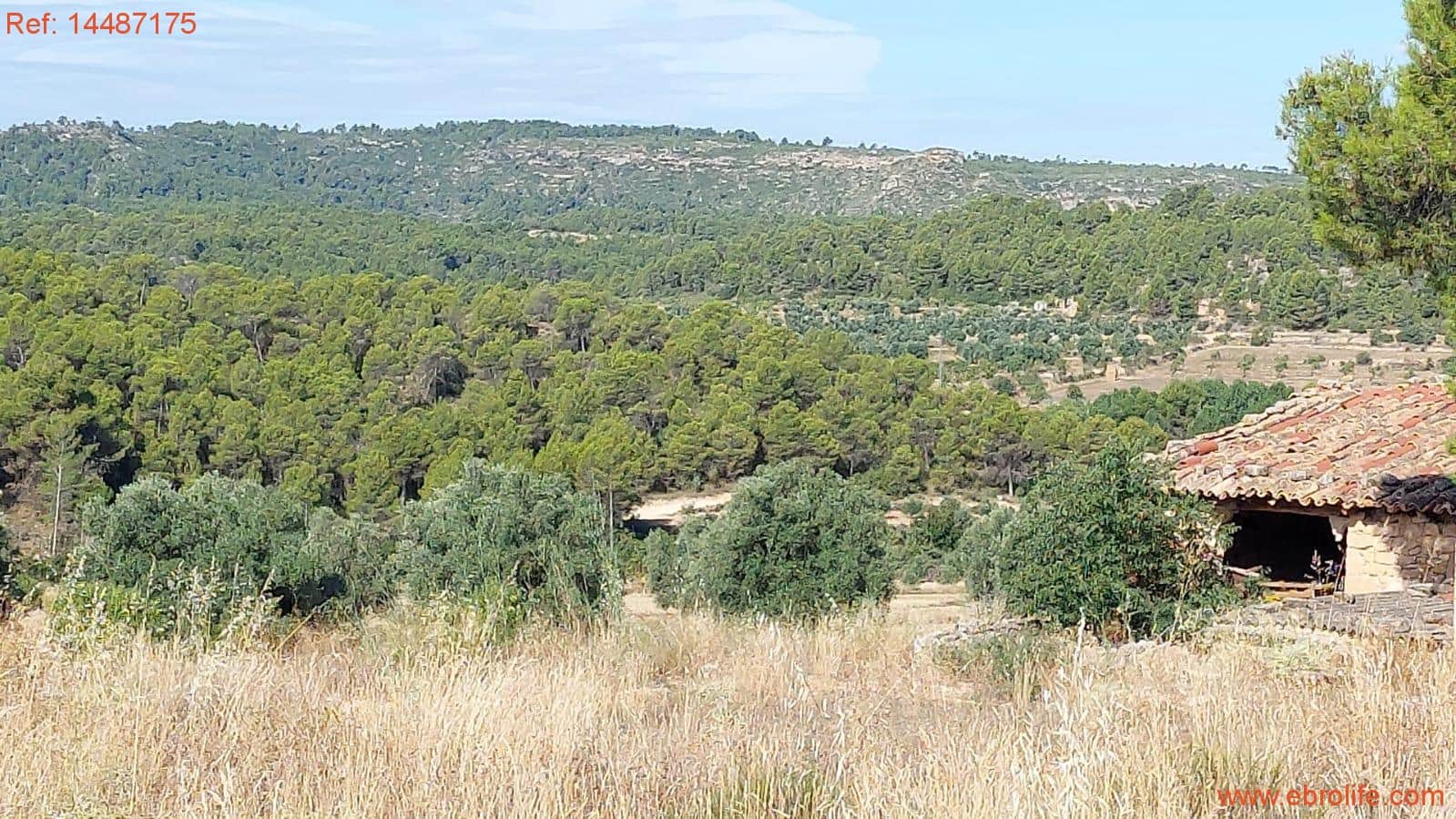 1 sypialnia Finka/Dom wiejski na sprzedaż w Torre del Compte - 75 000 € (Ref: 9142478)