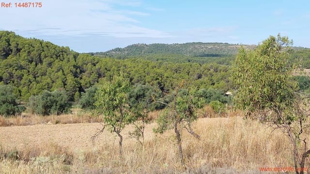 1 sypialnia Finka/Dom wiejski na sprzedaż w Torre del Compte - 75 000 € (Ref: 9142478)