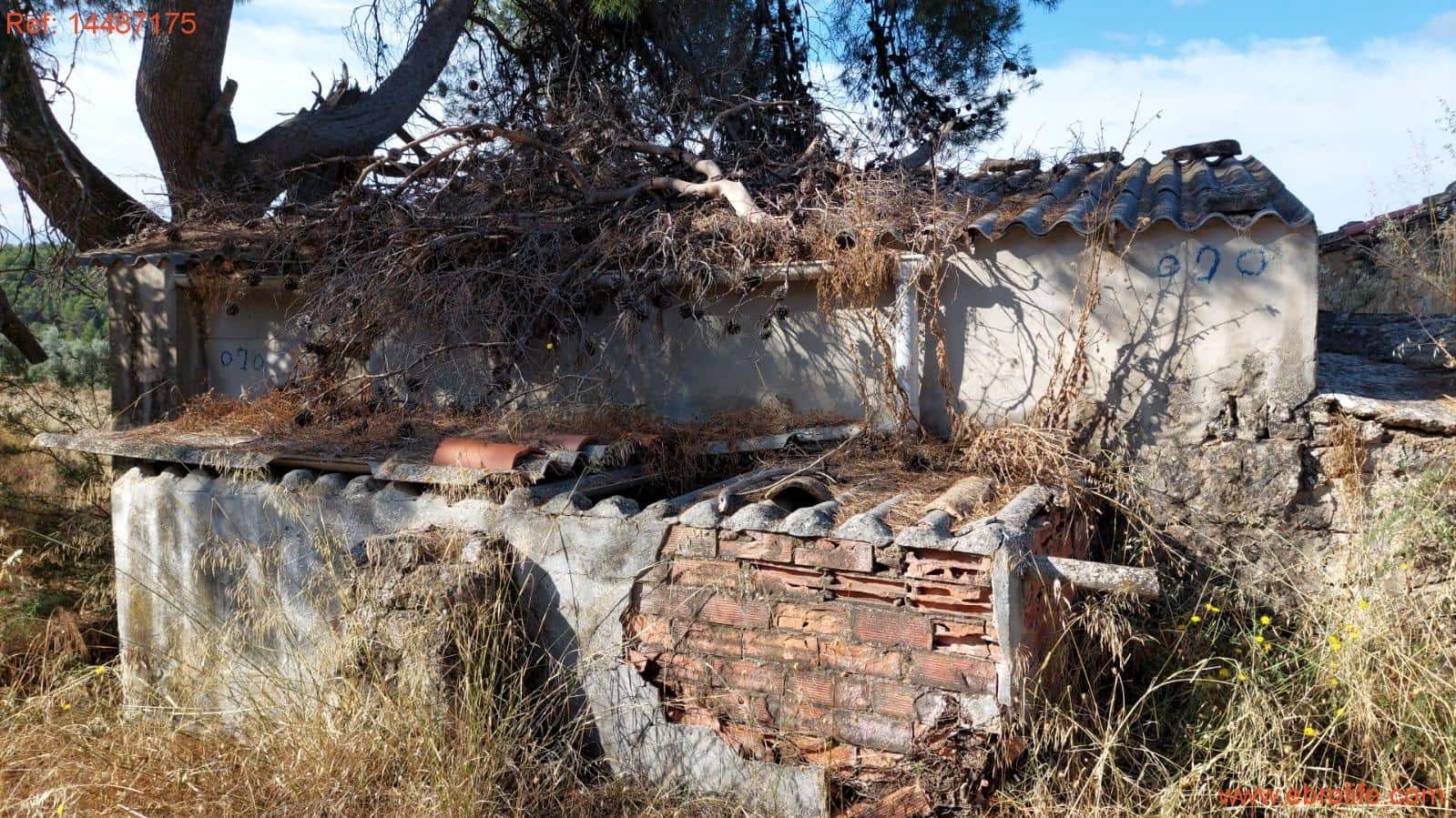 1 sypialnia Finka/Dom wiejski na sprzedaż w Torre del Compte - 75 000 € (Ref: 9142478)