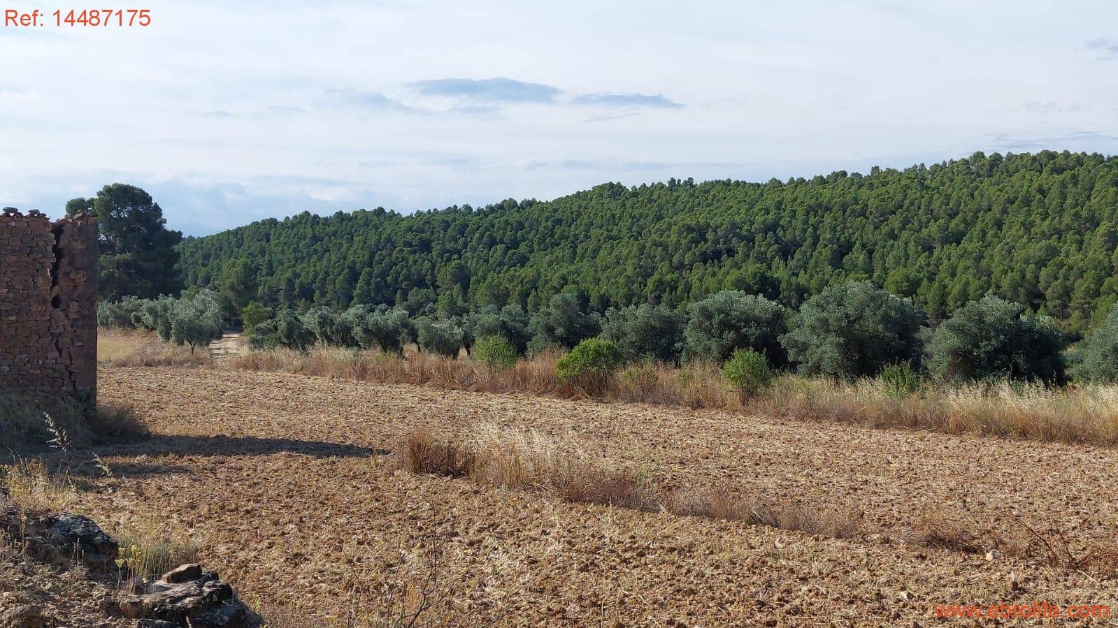 1 sypialnia Finka/Dom wiejski na sprzedaż w Torre del Compte - 75 000 € (Ref: 9142478)