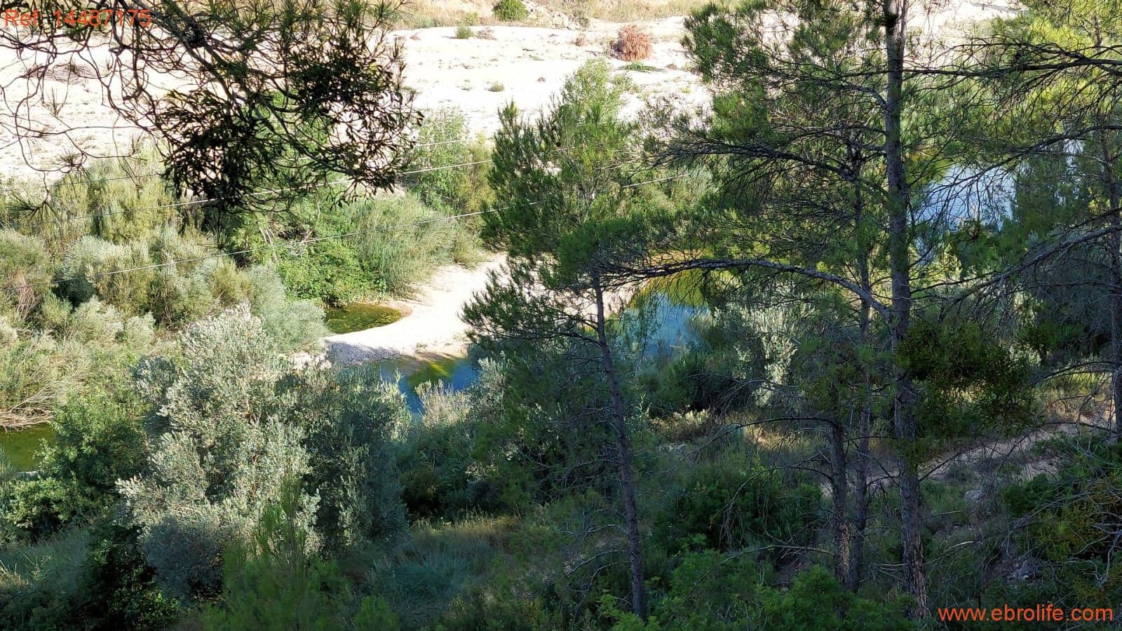 1 sypialnia Finka/Dom wiejski na sprzedaż w Torre del Compte - 75 000 € (Ref: 9142478)