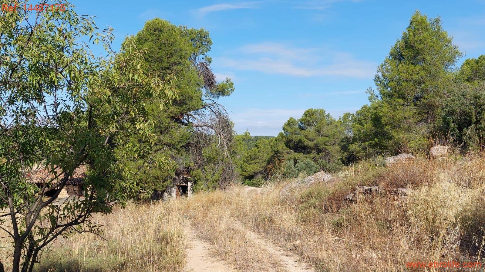 1 sypialnia Finka/Dom wiejski na sprzedaż w Torre del Compte - 75 000 € (Ref: 9142478)