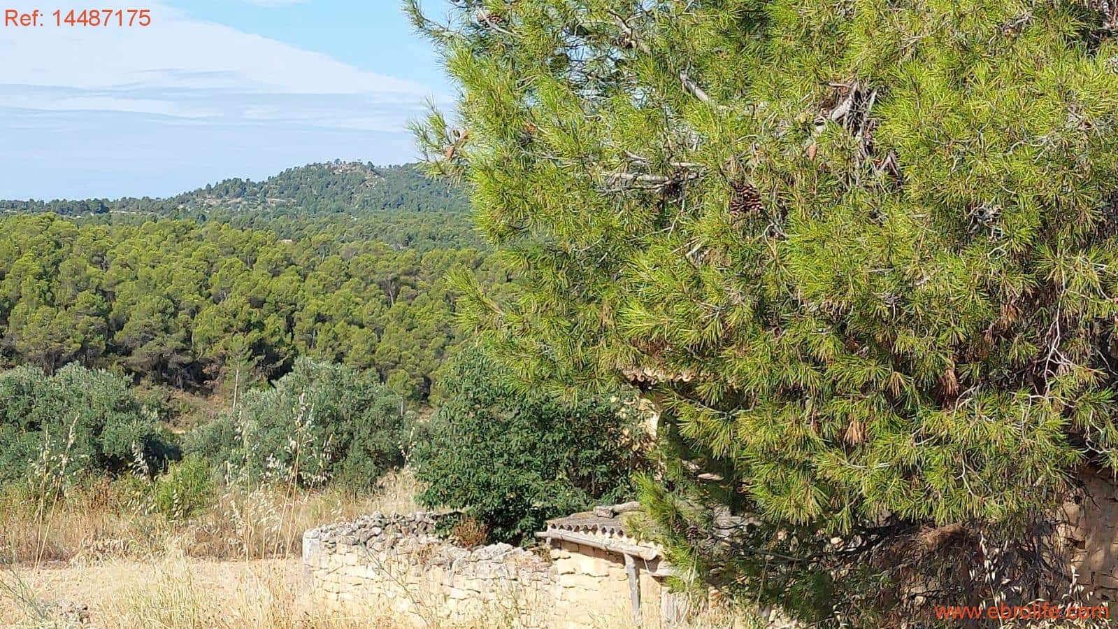 1 sypialnia Finka/Dom wiejski na sprzedaż w Torre del Compte - 75 000 € (Ref: 9142478)