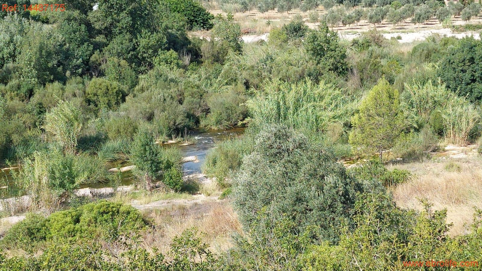 1 sypialnia Finka/Dom wiejski na sprzedaż w Torre del Compte - 75 000 € (Ref: 9142478)