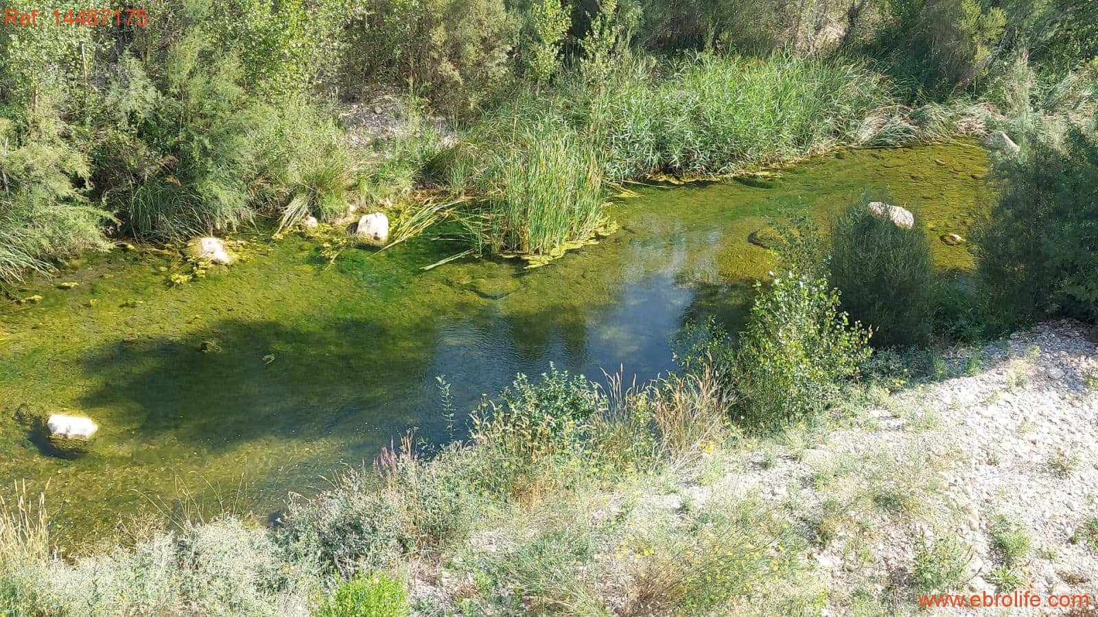 1 sypialnia Finka/Dom wiejski na sprzedaż w Torre del Compte - 75 000 € (Ref: 9142478)