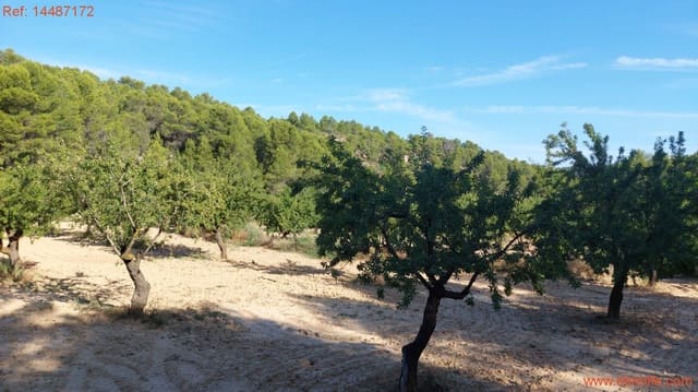 1 soverom Finca/Herregård til salgs i Mazaleón - € 24 000 (Ref: 9142479)