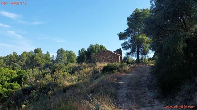 1 soveværelse Finca/Landehus til salg i Mazaleón - € 24.000 (Ref: 9142479)