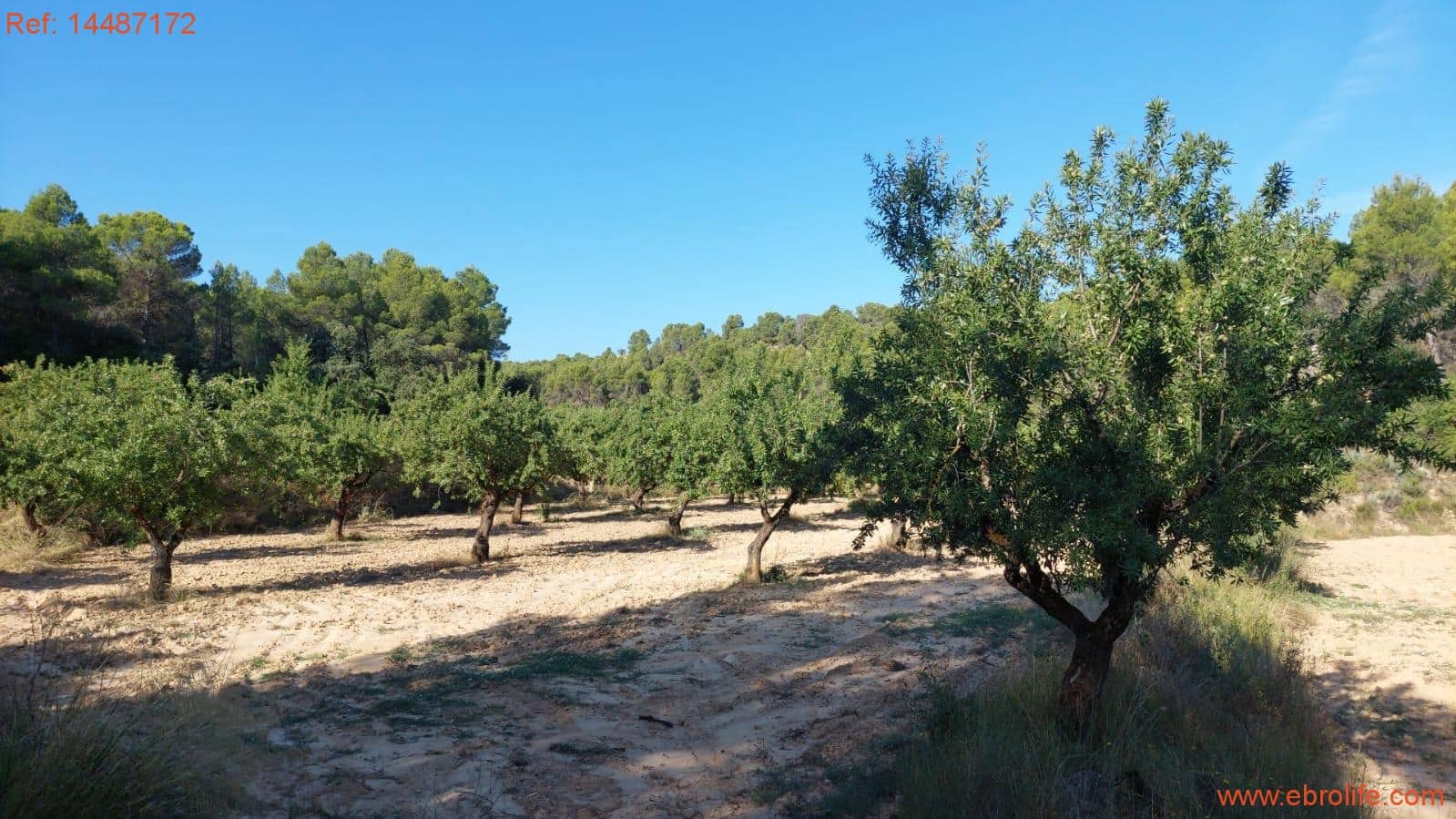 1 soverom Finca/Herregård til salgs i Mazaleon - € 24 000 (Ref: 9142479)