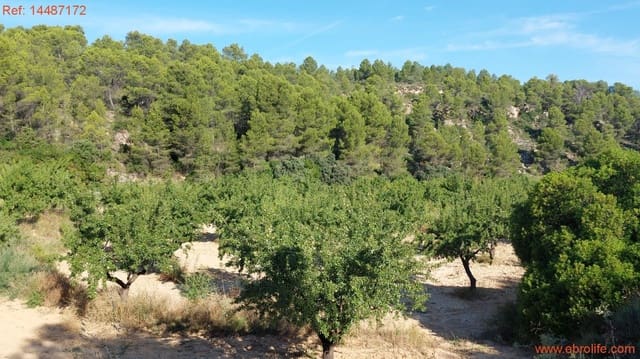 1 soverom Finca/Herregård til salgs i Mazaleón - € 24 000 (Ref: 9142479)