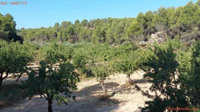 1 soverom Finca/Herregård til salgs i Mazaleón - € 24 000 (Ref: 9142479)