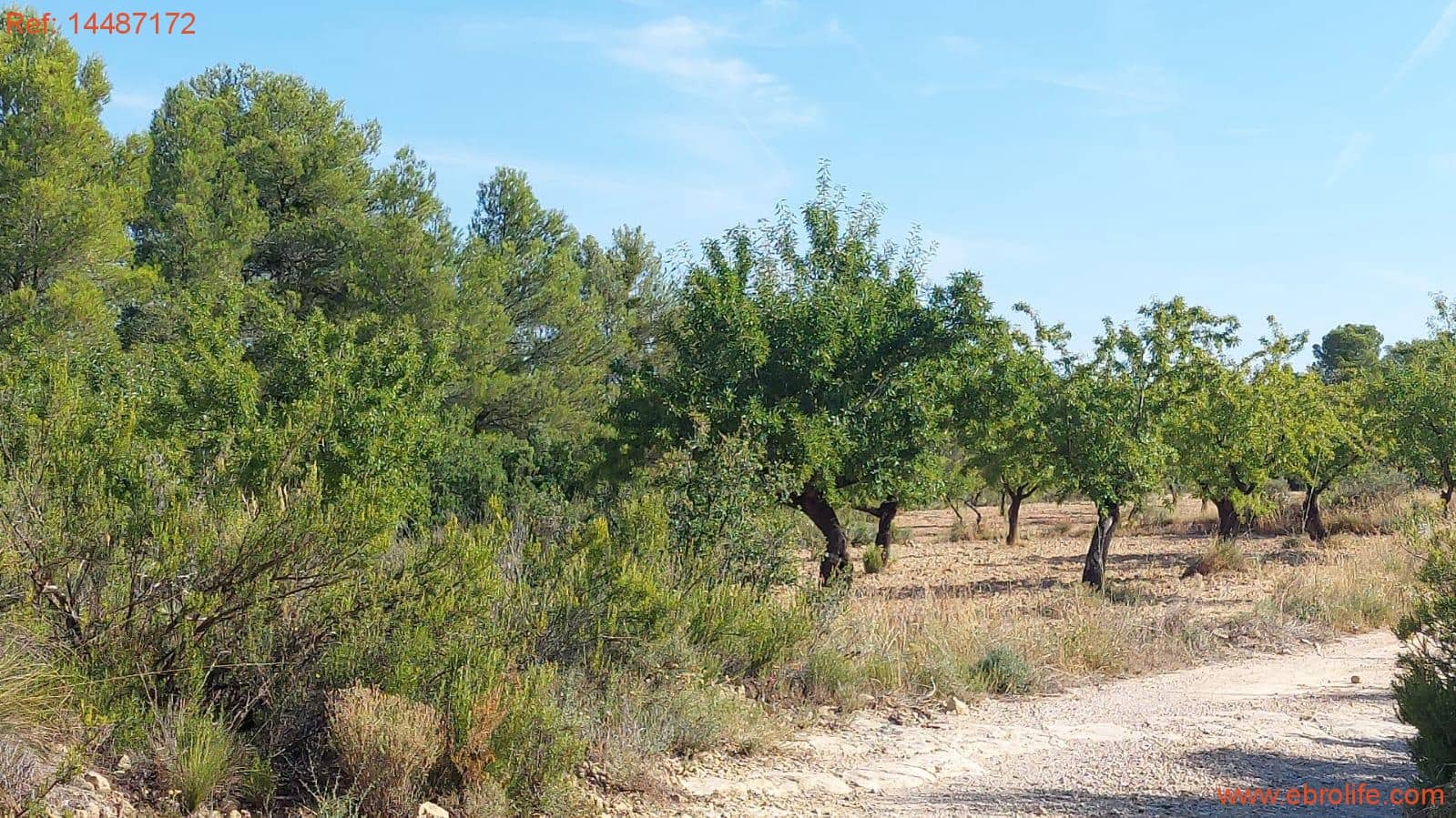 1 soverom Finca/Herregård til salgs i Mazaleon - € 24 000 (Ref: 9142479)